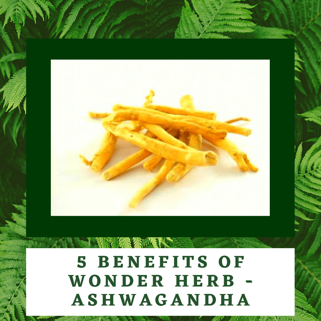 Ashwagandha