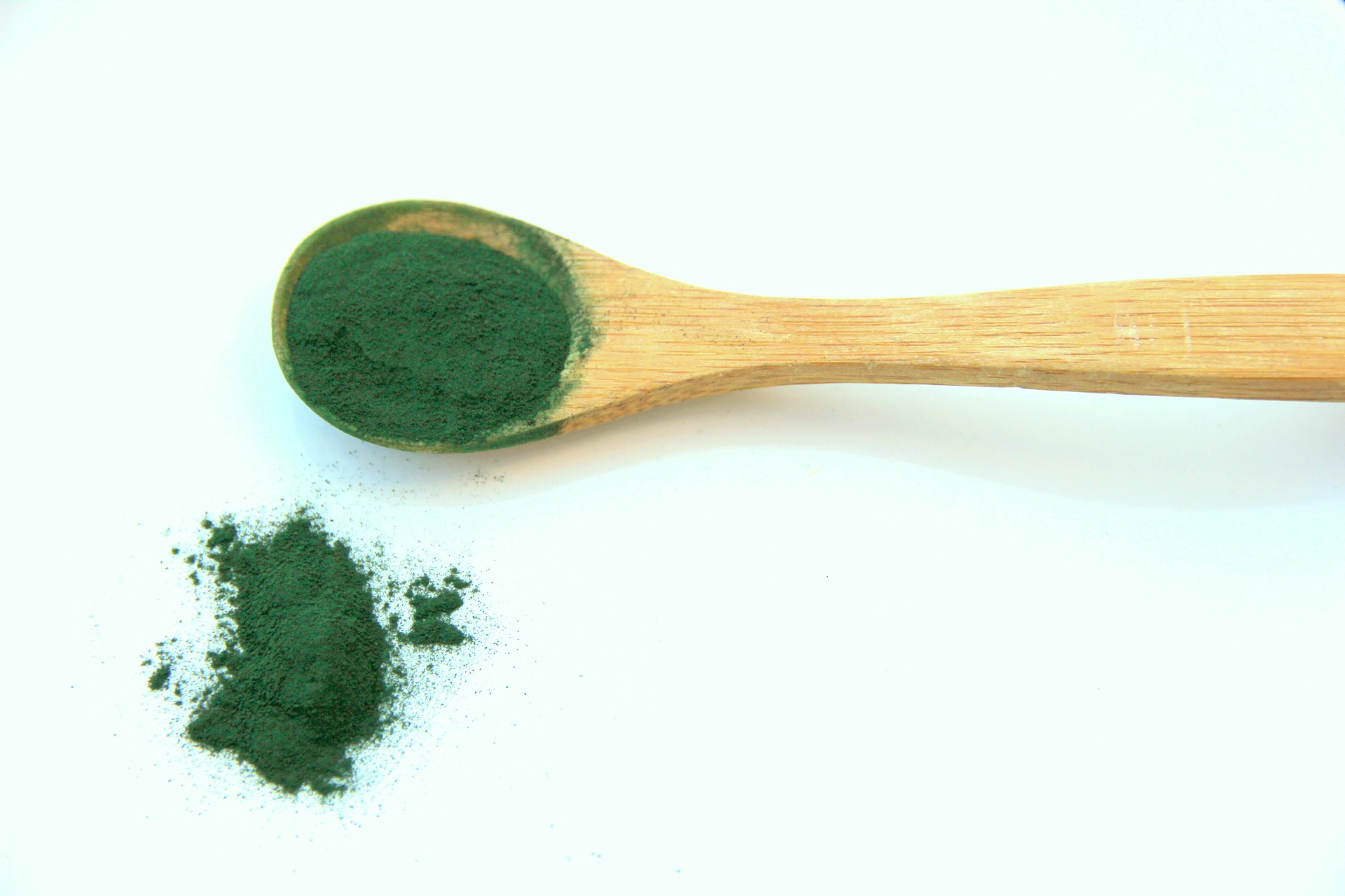 spirulina 1829080 1920